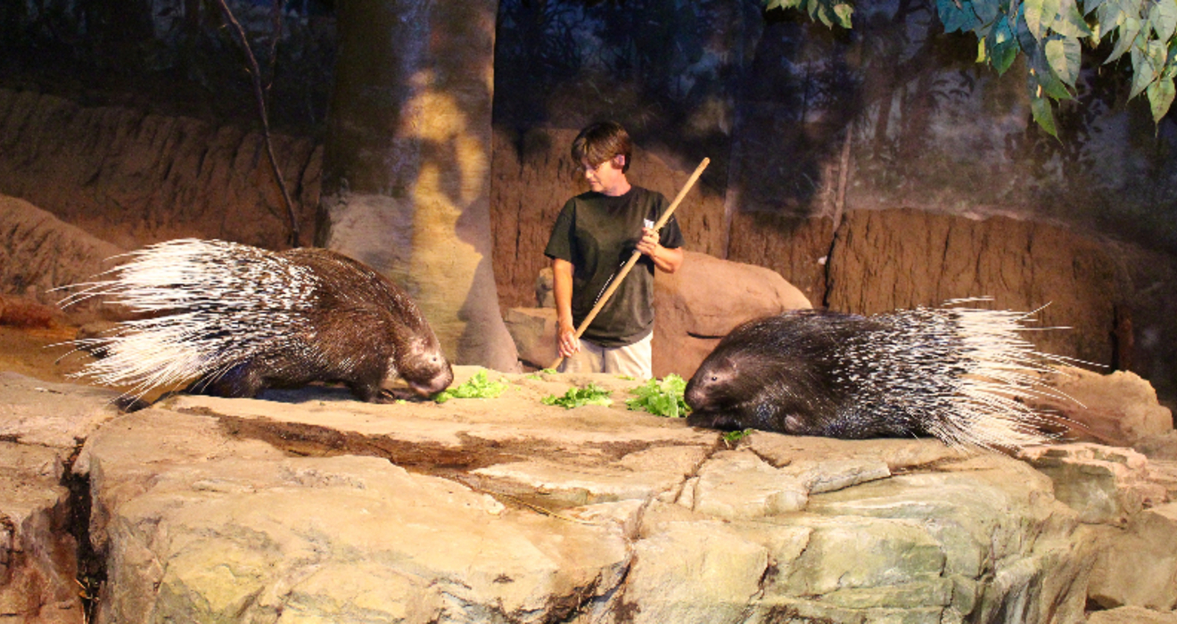 ASK THE EXPERT How do the keepers get into the habitats without the