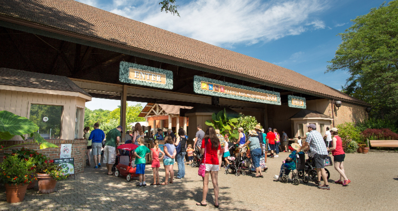 Four ways to stay connected to the Zoo Cleveland Zoological Society