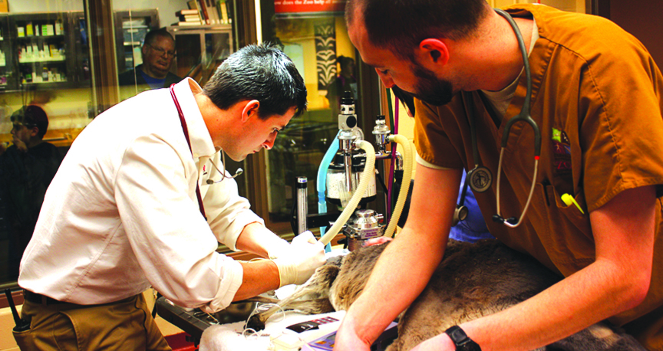 Meet the Zoo's Veterinary Team Cleveland Zoological Society February