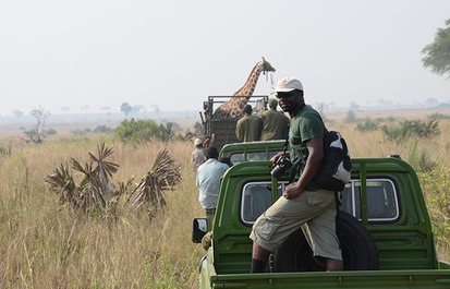 Giraffe researcher receives conservation award