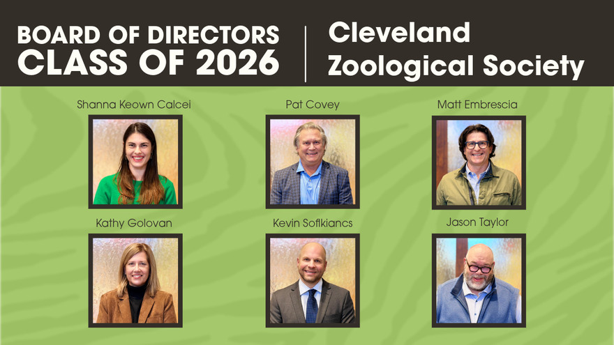 boardofdirectorsclassof2026collage