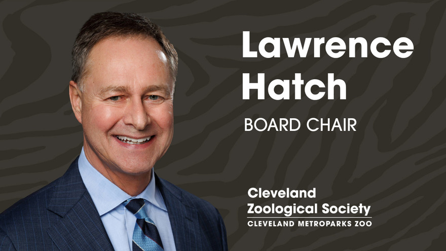 newczsboardchairlarryhatchblog3