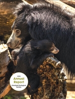 2019 Annual Report