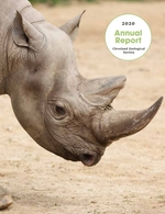 2020 Annual Report