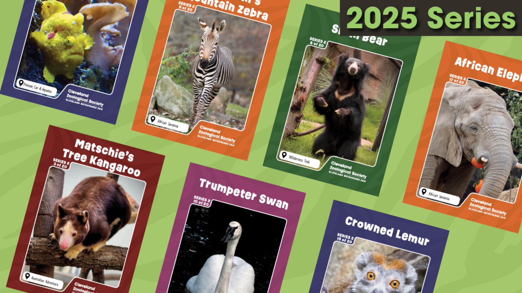 2025 trading card giveaways